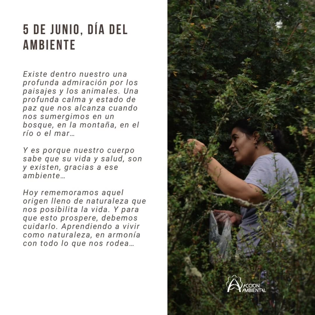 dia-ambiente-1