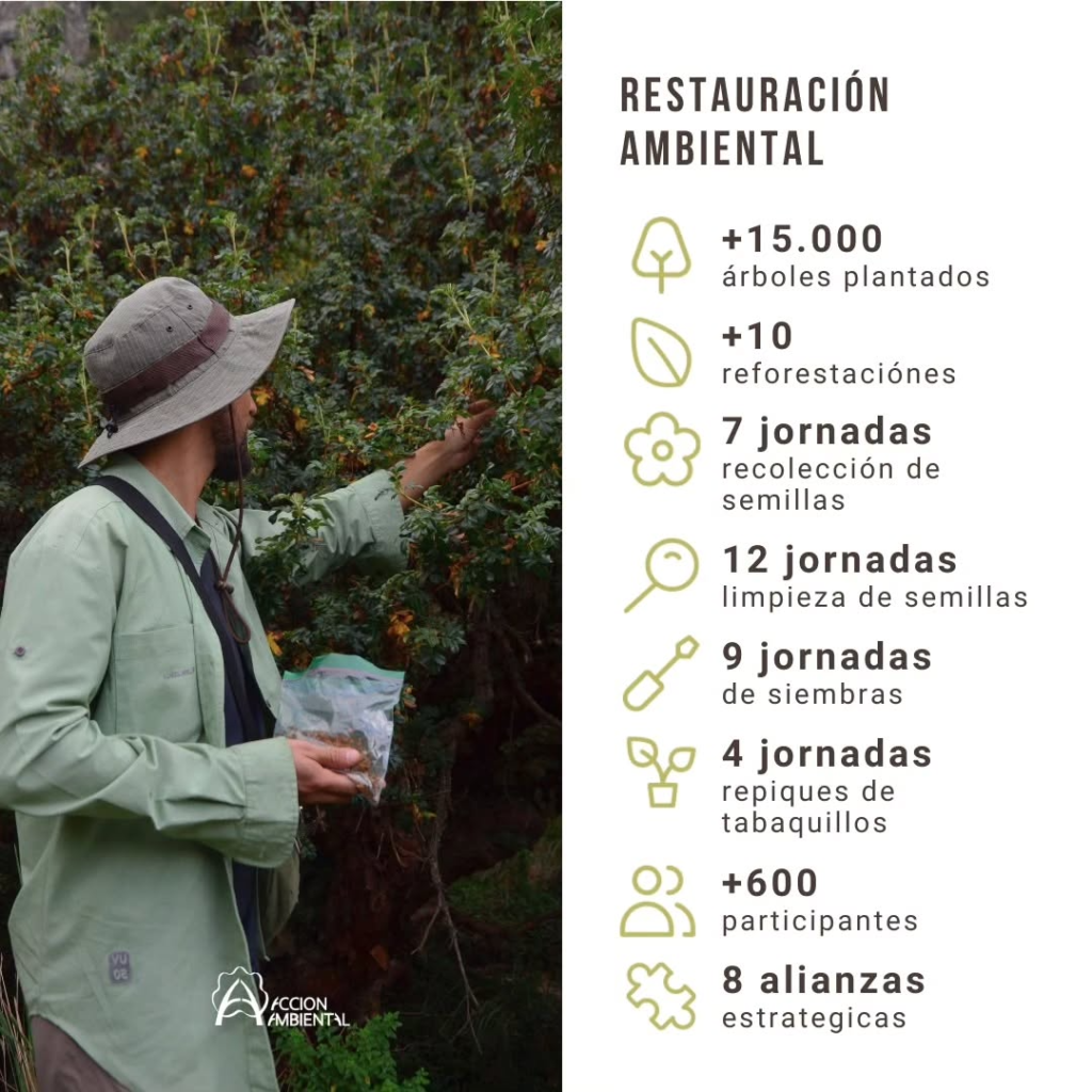 dia-ambiente-2