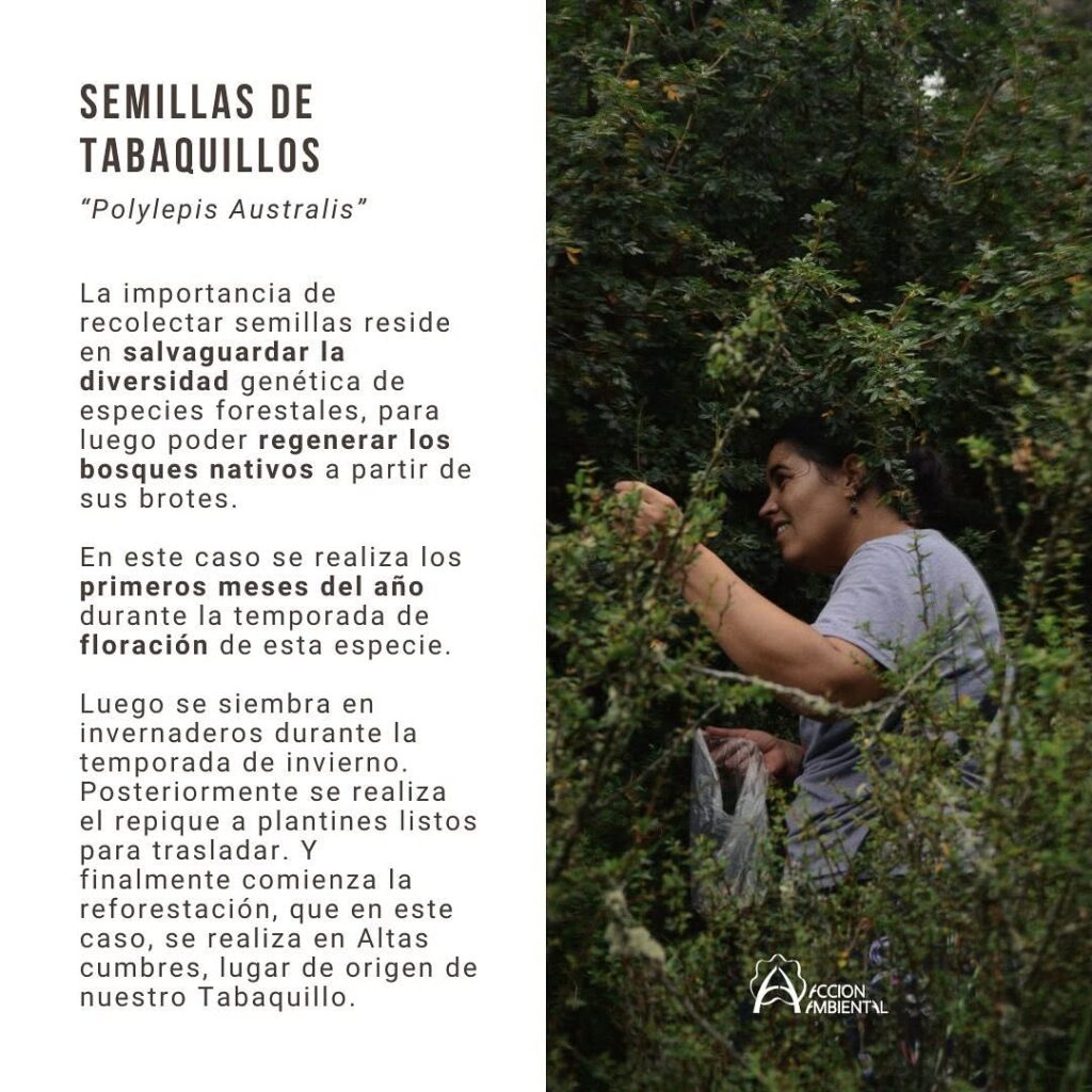 recolectamos-semillas-1