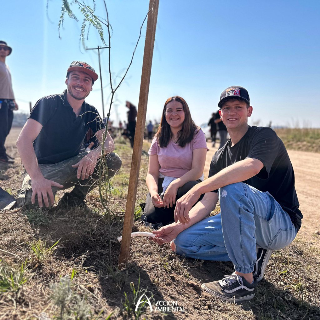 Comunidades Regenerativas